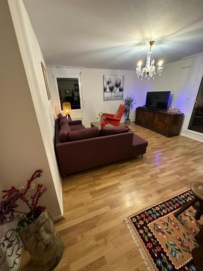 Apartamento Ave De La Vaite Besanzón Exterior foto